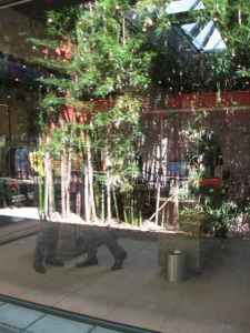 Hugo Boss store Mitte bamboo reflection