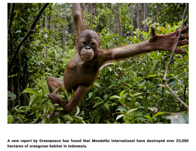 Orangutan habitat destoryed by Chocolate makers Mondelez, Cadbury