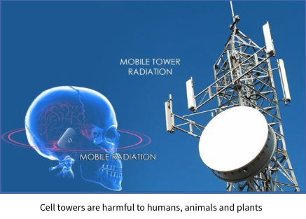 Cell towers are harmful to humans, animals and plants -global indoor health network